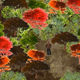 Illustration for article titled Arcen Games Talk A Valley Without Wind